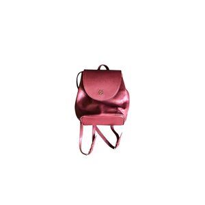 Dominie Red Leather BookBag